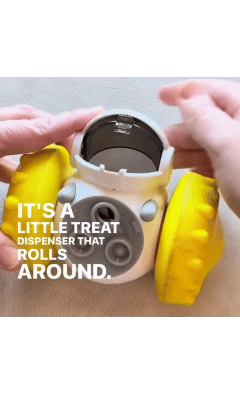 Interactive Slow Feeder